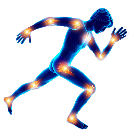 ortopedico milano ossigeno ozono terapia viale indipendenza centro medico lombosciatalgia traumatologia infiltrazioni intra articolari osteoporosi traumi sportivi antiage cellulite